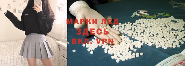 прущие грибы Михайлов