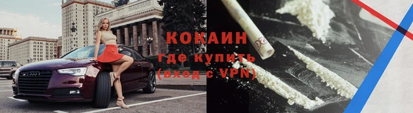 прущие грибы Михайлов