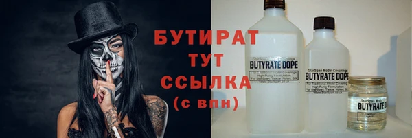 прущие грибы Михайлов