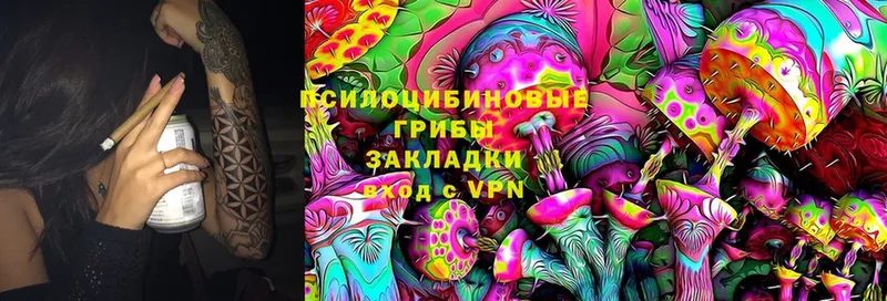 как найти закладки  Вичуга  Галлюциногенные грибы Psilocybe 