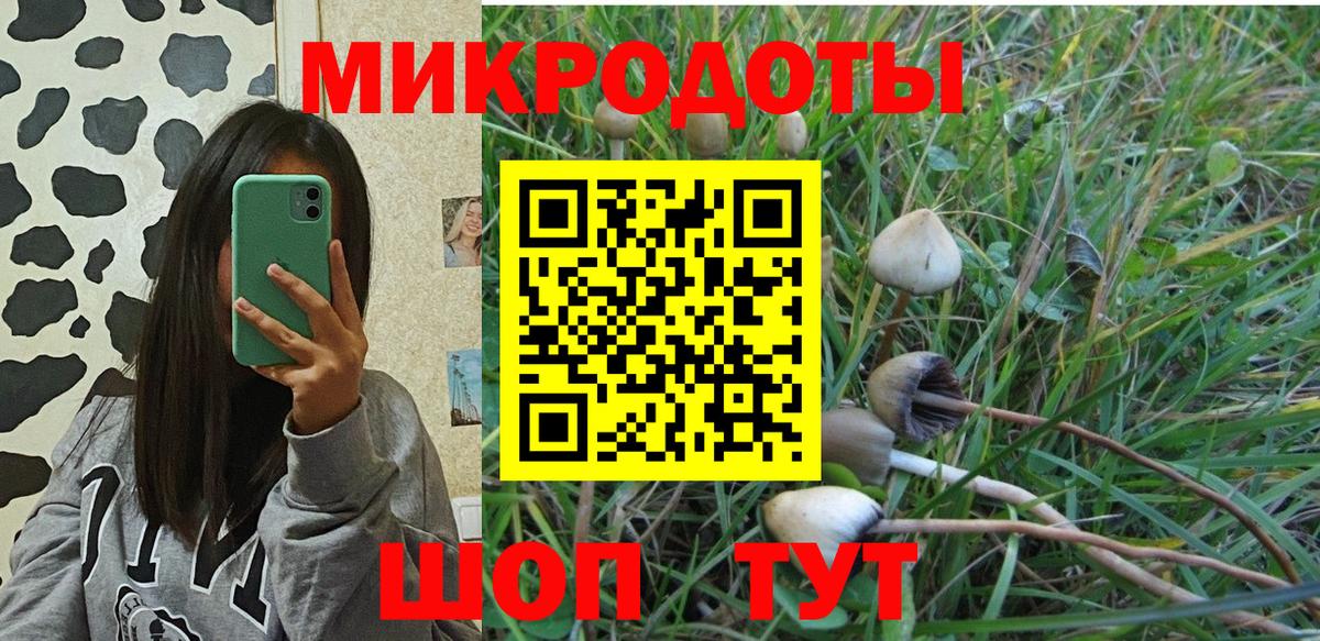 Галлюциногенные грибы ЛСД Вичуга