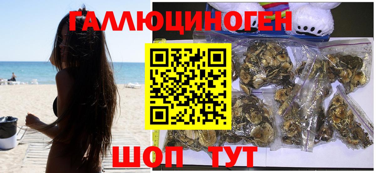 купить  цена  Вход с VPN  Вичуга  Псилоцибиновые грибы Psilocybe 